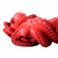 Pulpo / Calamar